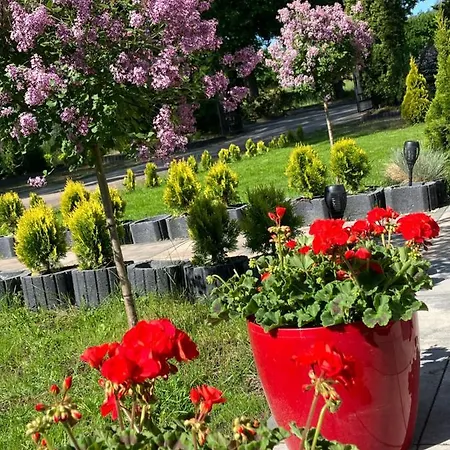 Arkadia Przy Amfiteatrze Apartament *
